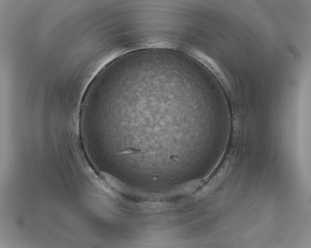 X0000113231236200909101204
