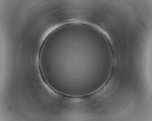 X0000113231239200909101204