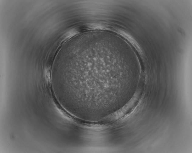 X0000113231241200909101204