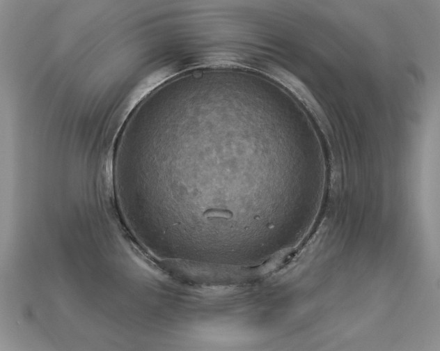 X0000113231242200909101204