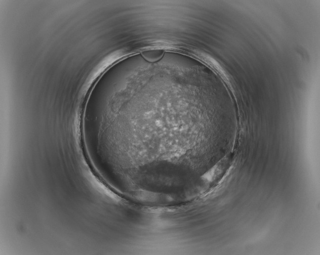 X0000113231243200909101204
