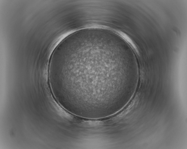 X0000113231244200909101204