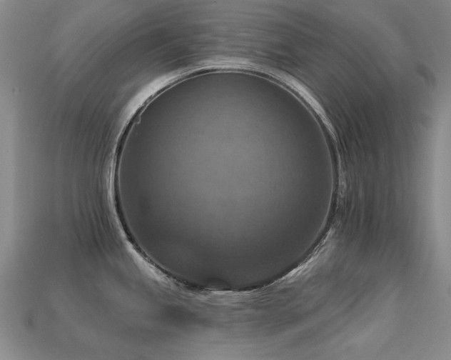 X0000113231245200909101204