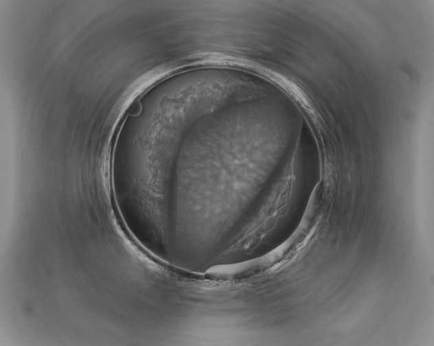 X0000113231247200909101204