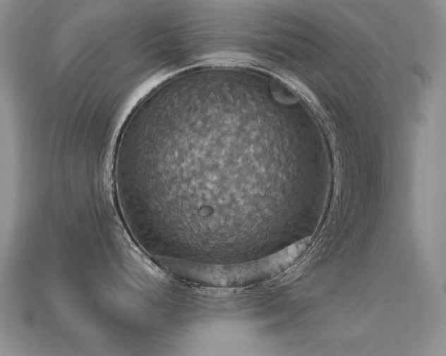 X0000113231248200909101204