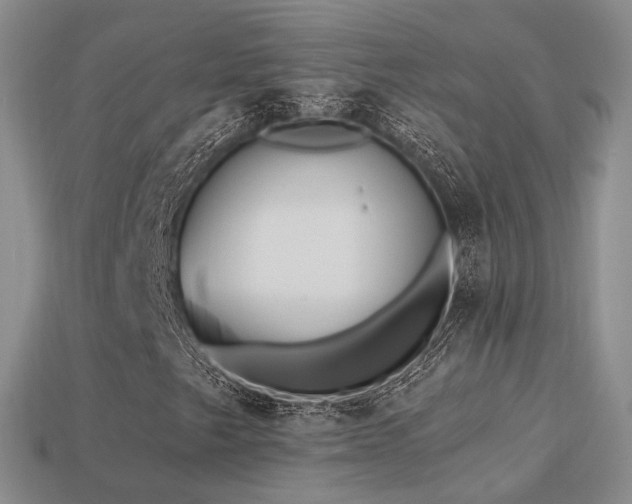 X0000113231249200909101204