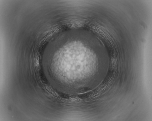 X0000113231250200909101204