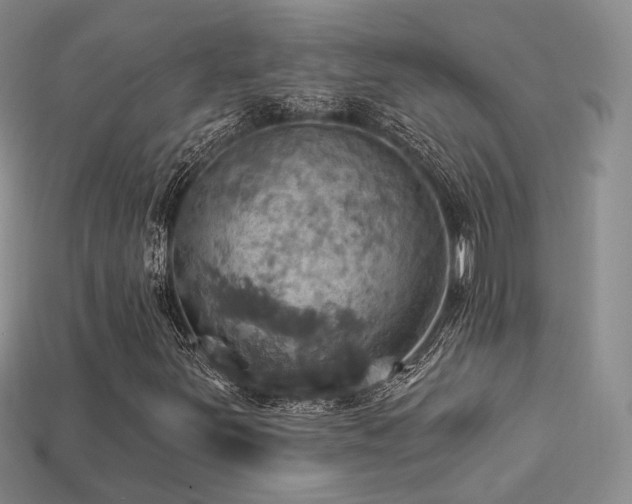 X0000113231251200909101204
