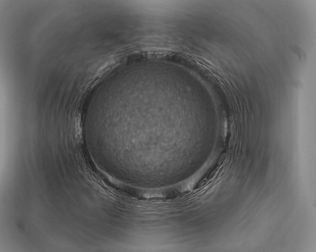 X0000113231252200909101204