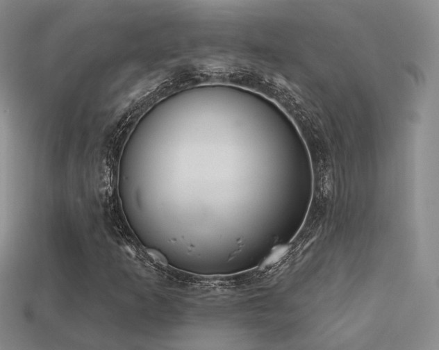 X0000113231253200909101204
