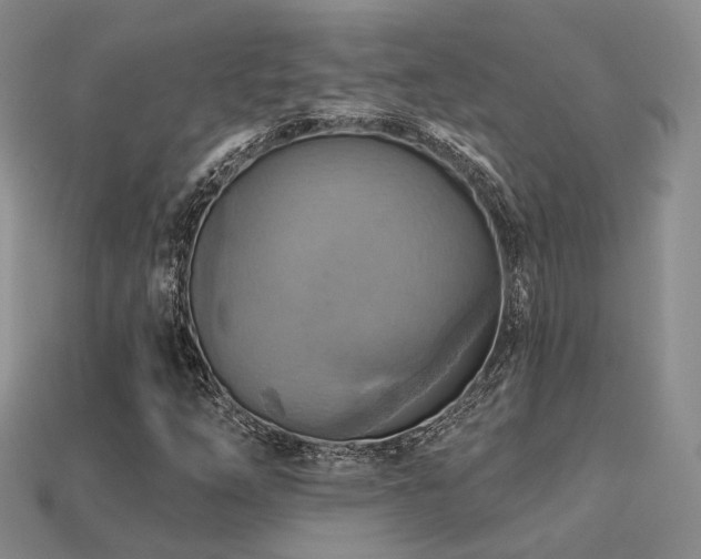 X0000113231254200909101204