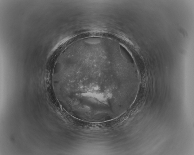 X0000113231255200909101204