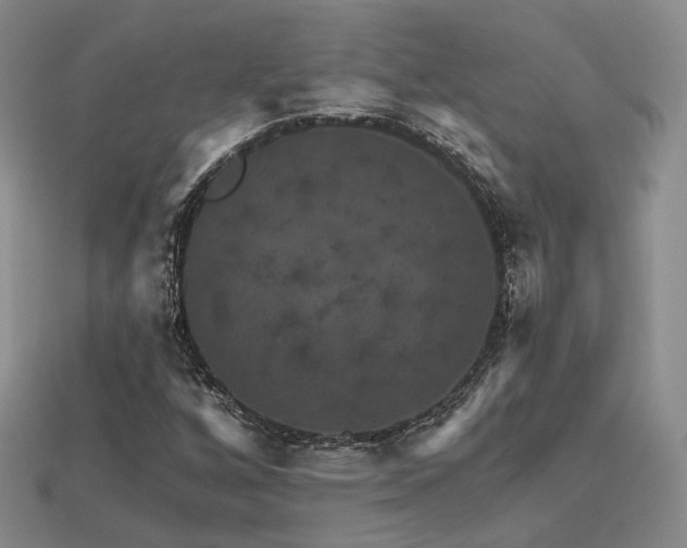 X0000113231256200909101204