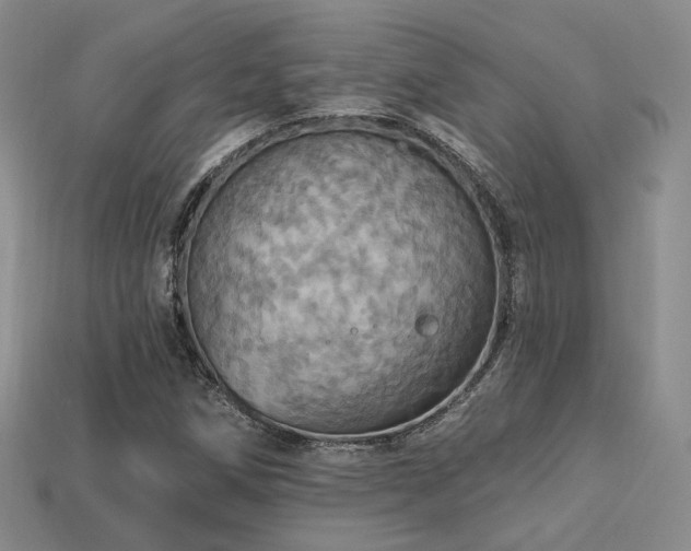 X0000113231258200909101204