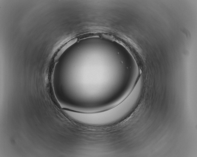 X0000113231261200909101204
