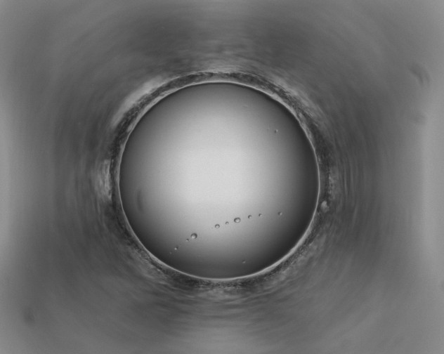 X0000113231262200909101204