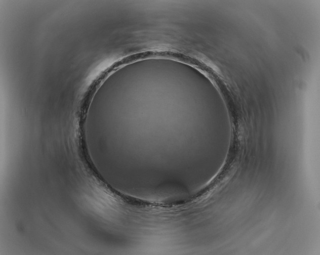 X0000113231263200909101204