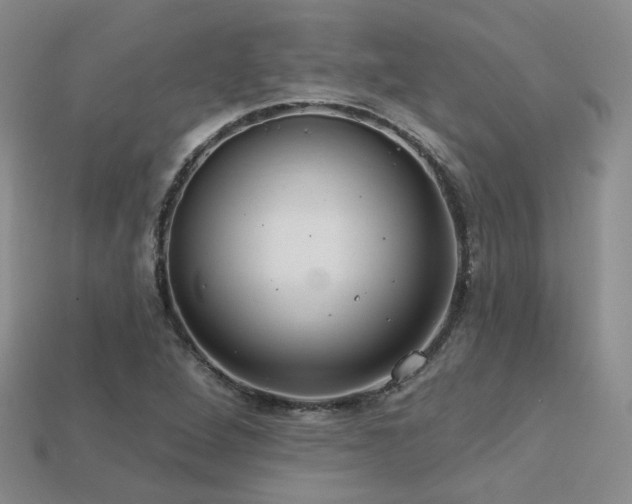 X0000113231264200909101204