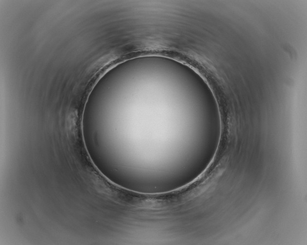X0000113231265200909101204