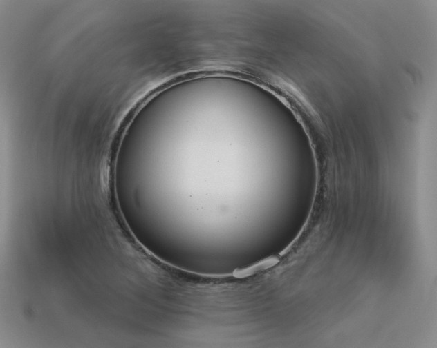 X0000113231268200909101204