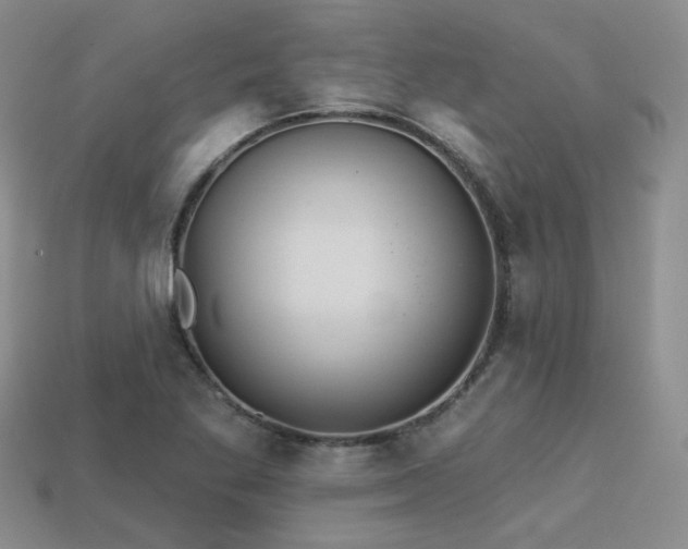 X0000113231269200909101204