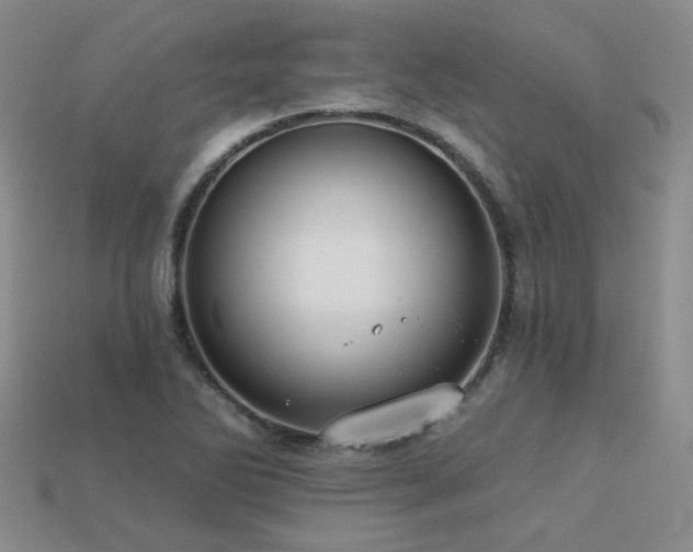 X0000113231270200909101203