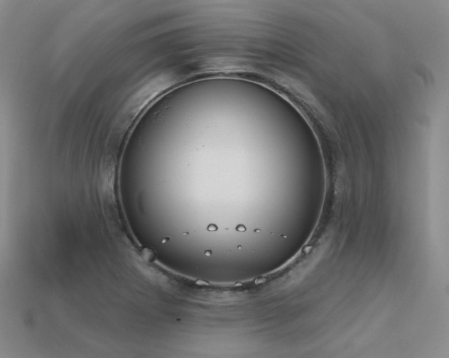 X0000113231273200909101203