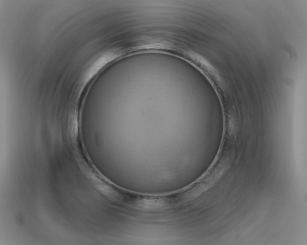 X0000113231274200909101203