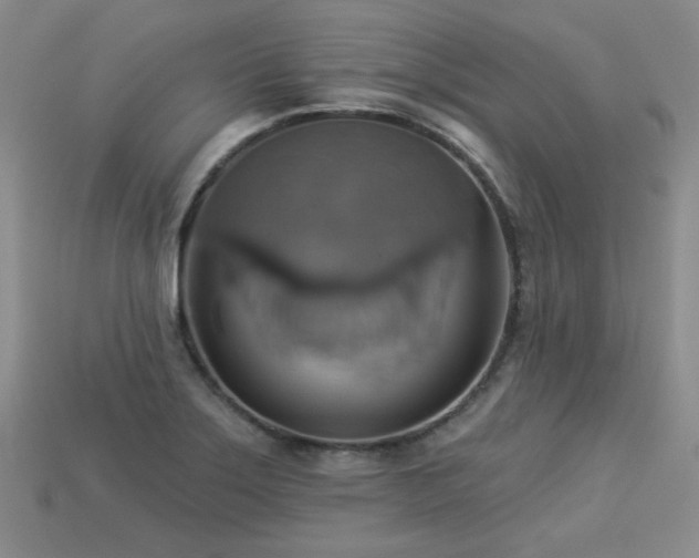 X0000113231275200909101203
