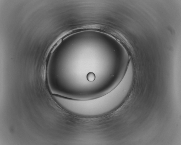 X0000113231276200909101203