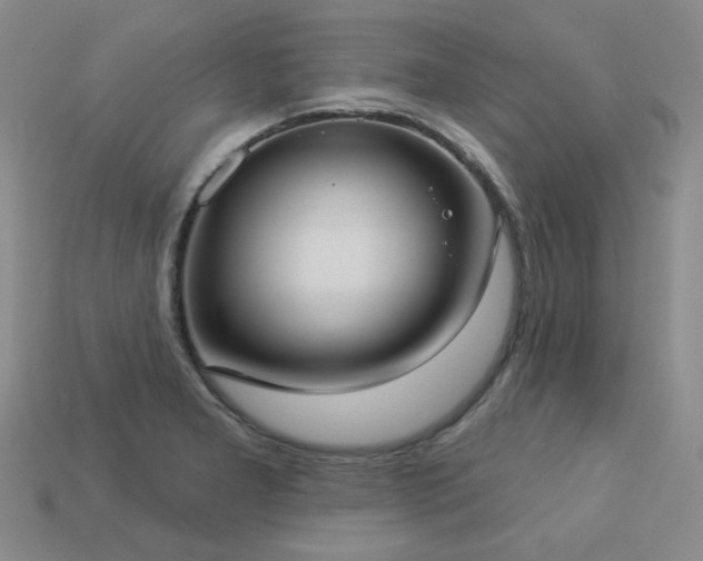 X0000113231277200909101203