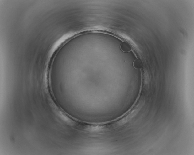 X0000113231278200909101203