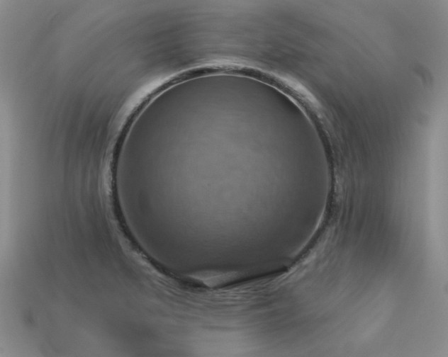 X0000113231279200909101203