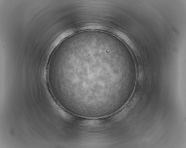X0000113231282200909101203