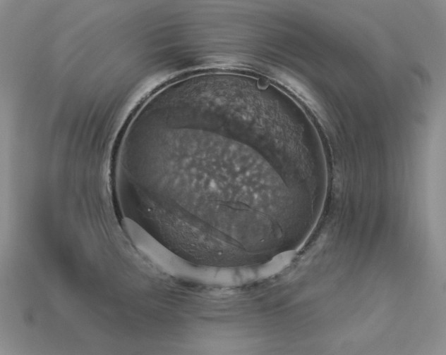 X0000113231283200909101203