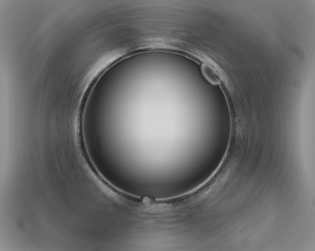 X0000113231285200909101203