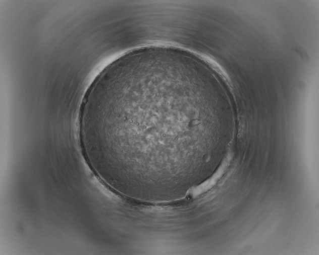 X0000113231287200909101203