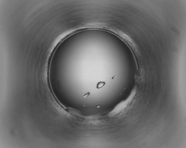 X0000113231288200909101203