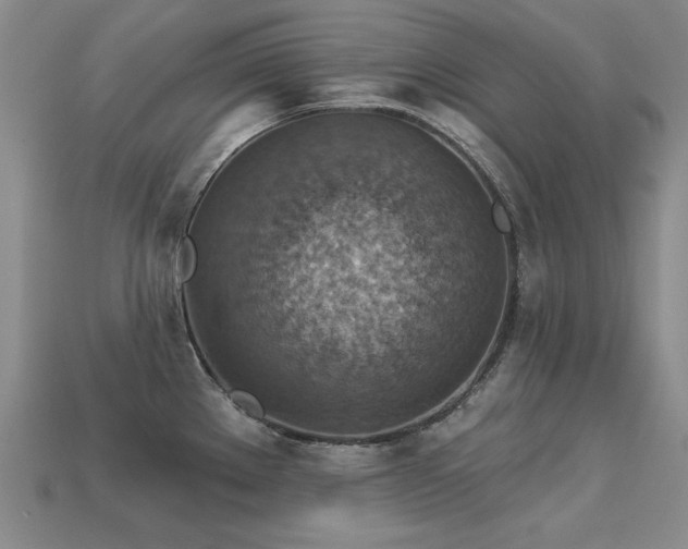 X0000113231289200909101203