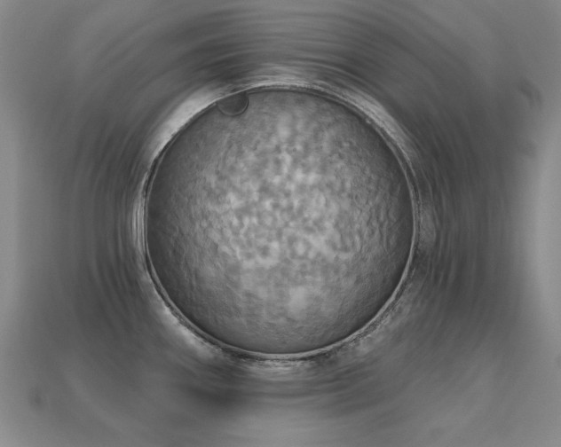 X0000113231290200909101203
