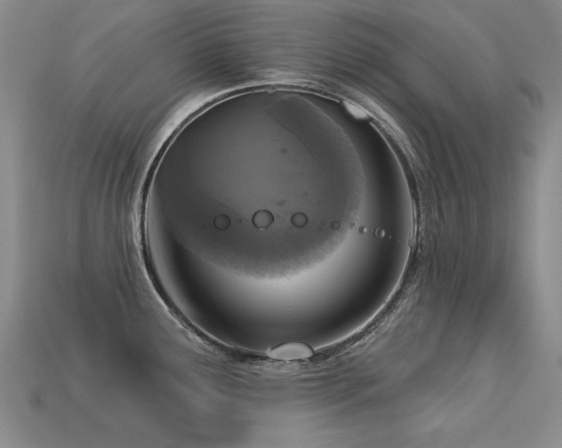 X0000113231291200909101203