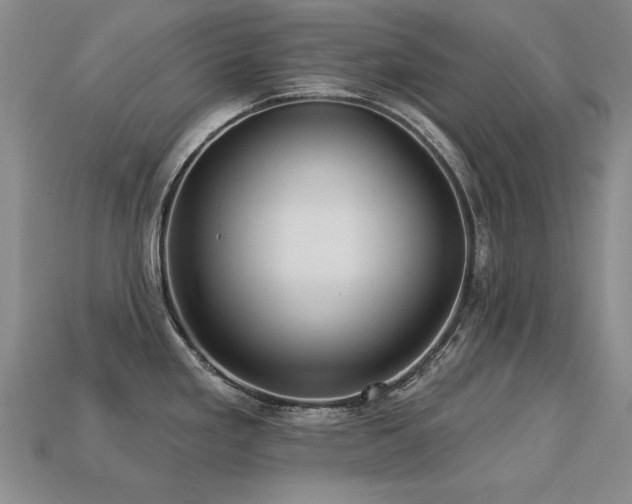 X0000113231293200909101203