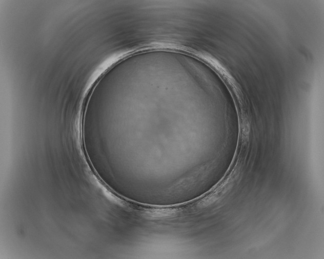 X0000113231294200909101203