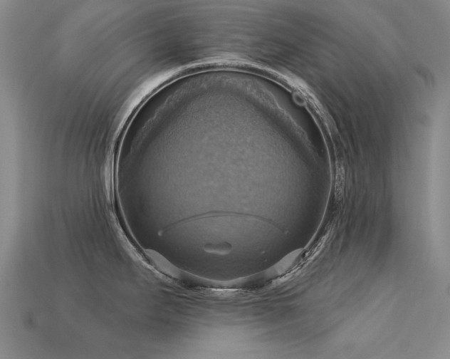 X0000113231295200909101203