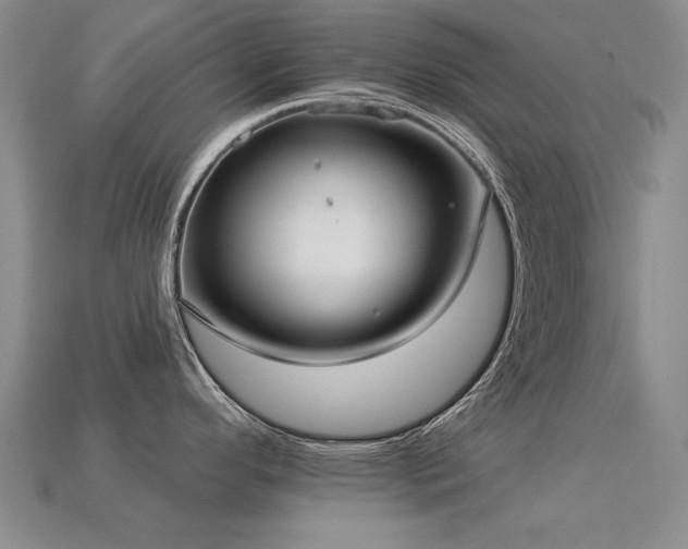 X0000113231296200909101203
