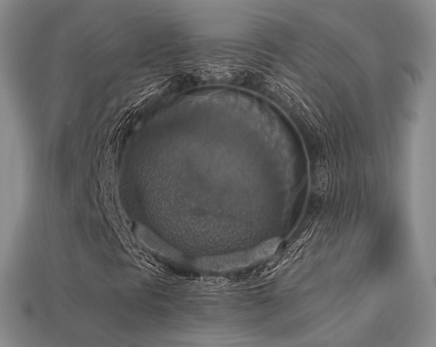 X0000113231297200909101202