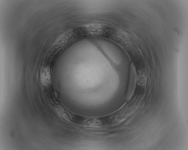 X0000113231298200909101202