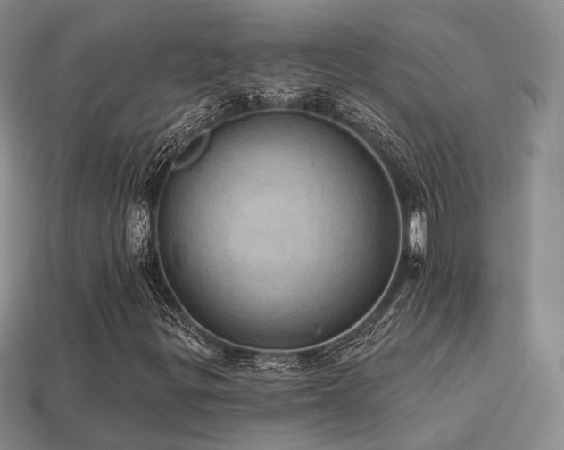 X0000113231299200909101203