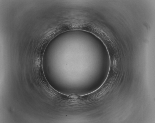 X0000113231300200909101203