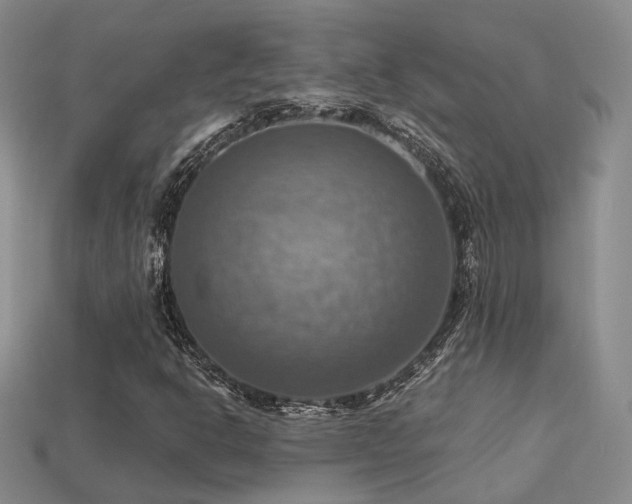 X0000113231302200909101203